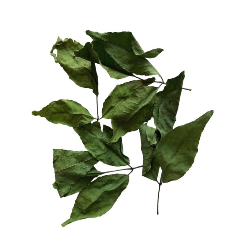 Dried Bel Patra